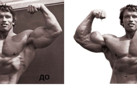 Нейронные сети научились удалять фон с изображений